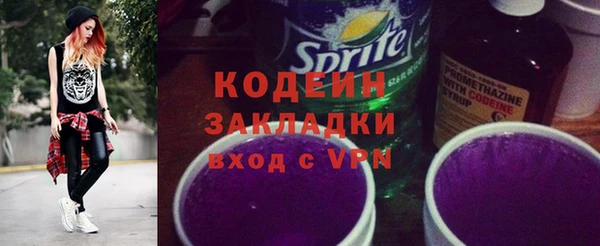 винт Анива