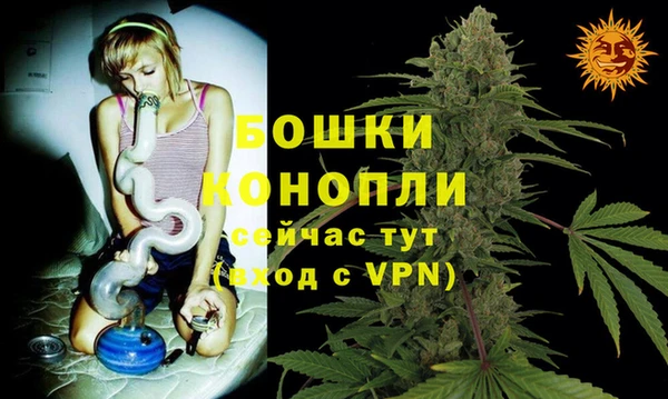 ГАЛЛЮЦИНОГЕННЫЕ ГРИБЫ Михайловка