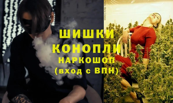 2c-b Михайлов