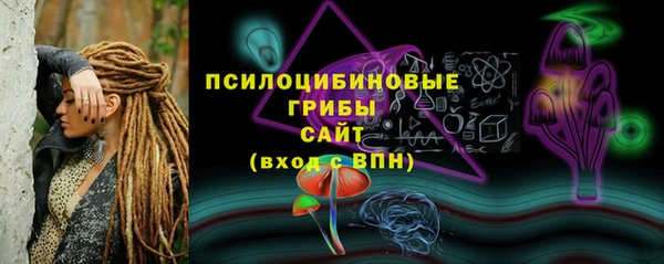 2c-b Михайлов