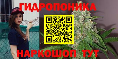 прущие крисы Бузулук