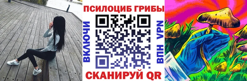 Галлюциногенные грибы прущие грибы  где продают наркотики  Дмитров 