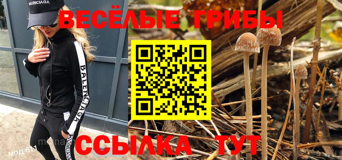 Галлюциногенные грибы ЛСД Дмитров