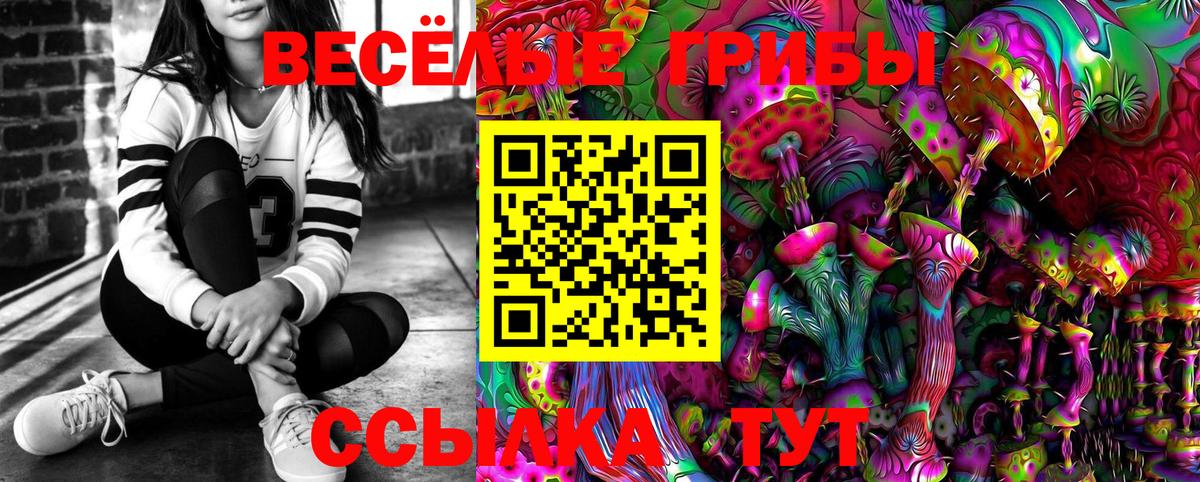 Псилоцибиновые грибы прущие грибы Дмитров