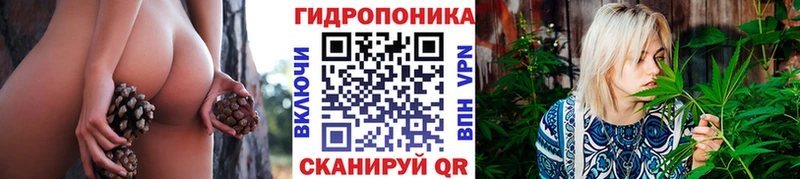 KRAKEN сайт  Дмитров  Бошки марихуана VHQ 