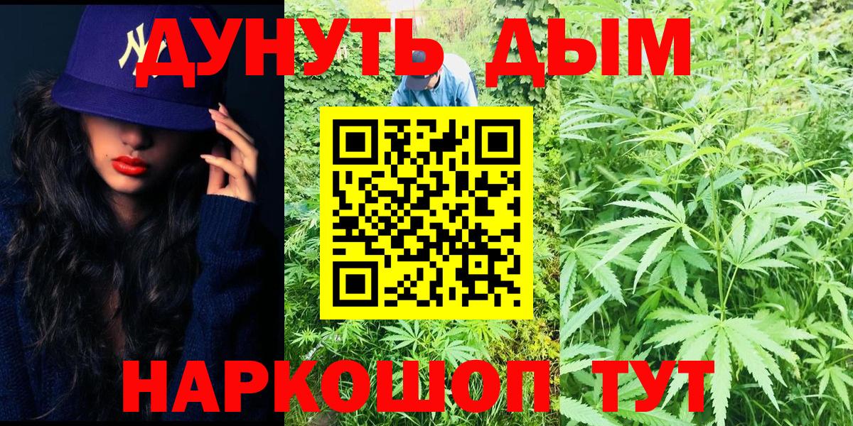 Дмитров  Марихуана семена  Канабис Bruce Banner  Вход с VPN 